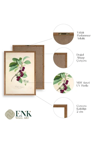 Meyveler Ahşap Çerçeveli Tablo 17 x 23 - Resim 4