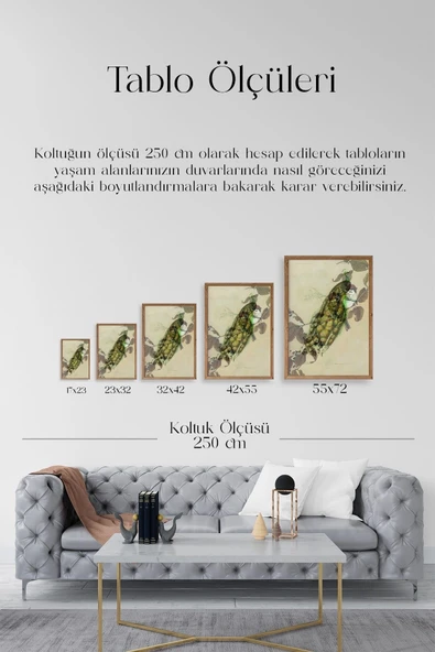 Kuş Ahşap Çerçeveli Tablo 50 x 70 - Resim 5