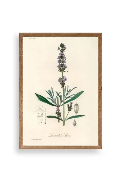 Yaprak Ahşap Çerçeveli Tablo 23 x 30 ürün görseli 1