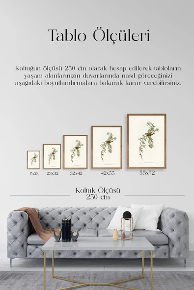 Daldaki Kuş Ahşap Çerçeveli Tablo 23 x 30 - Resim 5