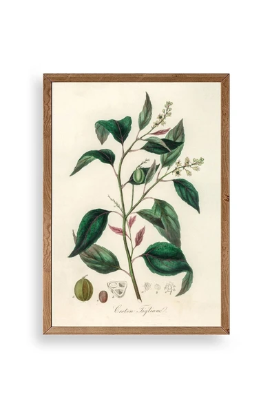 Yaprak Ahşap Çerçeveli Tablo 17 x 23 ürün görseli 1