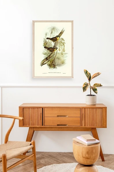 Kuşlar Ahşap Çerçeveli Tablo 17 x 23 - Resim 3