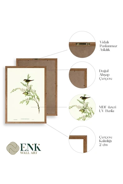 Daldaki Kuş Ahşap Çerçeveli Tablo 23 x 30 - Resim 4