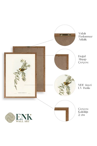 Daldaki Kuş Ahşap Çerçeveli Tablo 23 x 30 - Resim 4