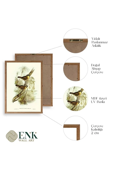 Kuşlar Ahşap Çerçeveli Tablo 17 x 23 - Resim 4
