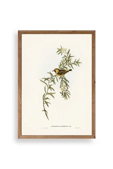 Daldaki Kuş Ahşap Çerçeveli Tablo 23 x 30 ürün görseli 1