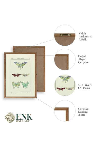 Kelebek Ahşap Çerçeveli Tablo 50 x 70 - Resim 4