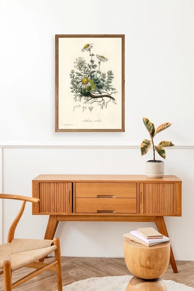 Papatya Ahşap Çerçeveli Tablo 17 x 23 - Resim 3