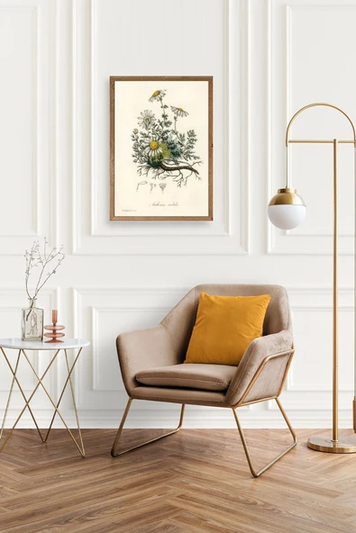 Papatya Ahşap Çerçeveli Tablo 17 x 23 - Resim 2