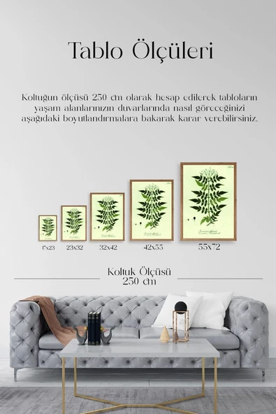 Yapraklar Ahşap Çerçeveli Tablo 50 x 70 - Resim 5