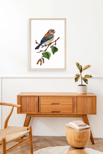 Kuş Ahşap Çerçeveli Tablo 50 x 70 - Resim 3