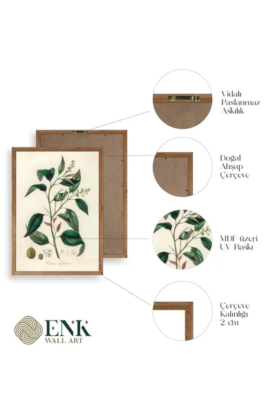 Yaprak Ahşap Çerçeveli Tablo 30 x 42 - Resim 4