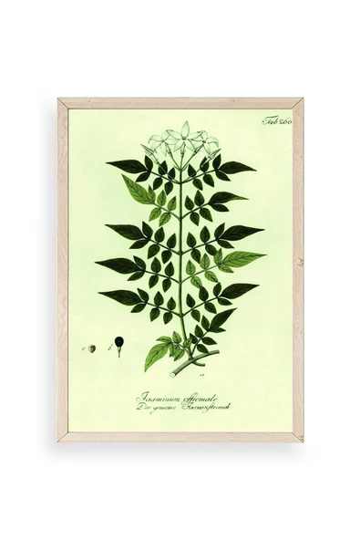 Yapraklar Ahşap Çerçeveli Tablo 50 x 70 ürün görseli 1