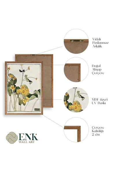 Marsh Marigold Ahşap Çerçeveli Tablo 30 x 42 - Resim 4