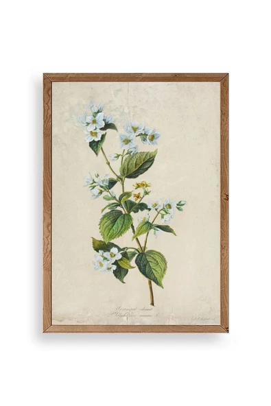 Çiçek Ahşap Çerçeveli Tablo 23 x 30 ürün görseli 1