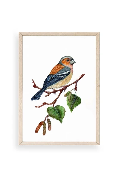 Kuş Ahşap Çerçeveli Tablo 17 x 23 ürün görseli 1