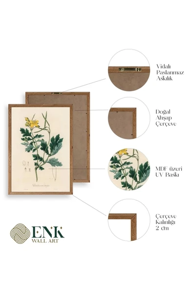 Çiçek Ahşap Çerçeveli Tablo 23 x 30 - Resim 4