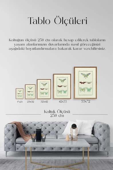 Kelebek Ahşap Çerçeveli Tablo 50 x 70 - Resim 5