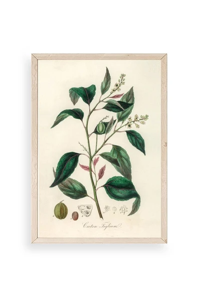 Yaprak Ahşap Çerçeveli Tablo 30 x 42 ürün görseli 1