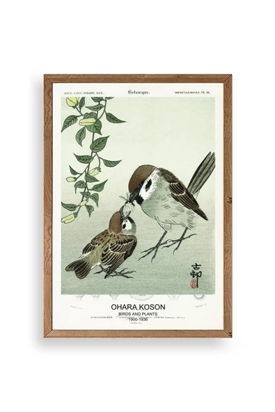 Kuşlar Ahşap Çerçeveli Tablo 30 x 42 ürün görseli 1