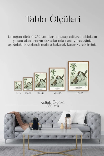Kuşlar Ahşap Çerçeveli Tablo 17 x 23 - Resim 5