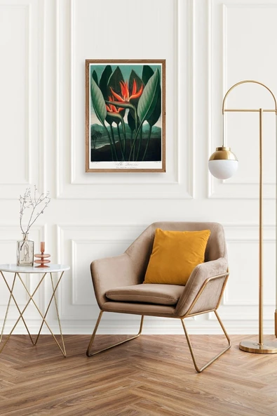 The Queen Plant Ahşap Çerçeveli Tablo 30 x 42 - Resim 2