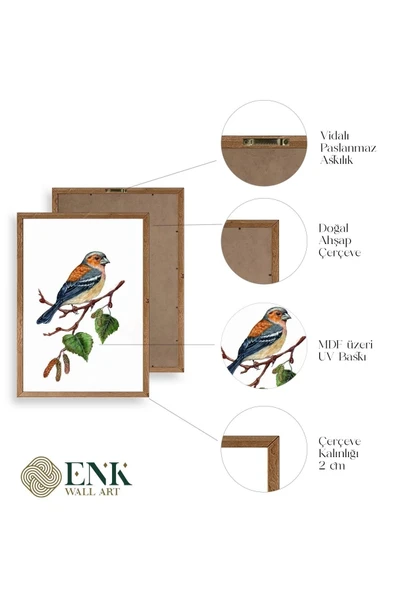 Kuş Ahşap Çerçeveli Tablo 50 x 70 - Resim 4