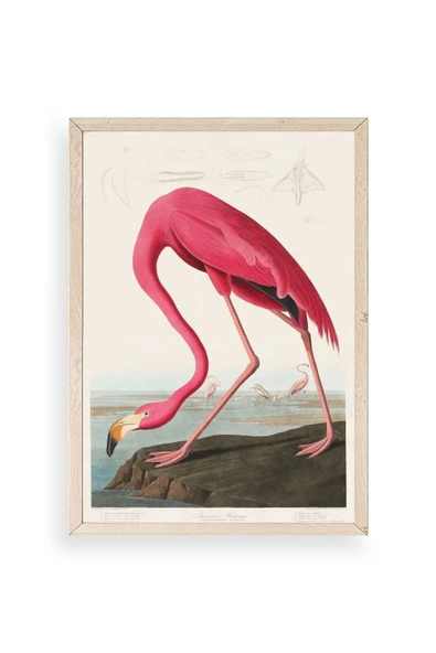 Flamingo Ahşap Çerçeveli Tablo 17 x 23 ürün görseli 1