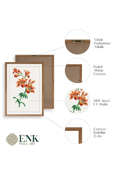 Çiçek Üçlü Ahşap Çerçeveli Tablo 23 x 30 - Resim 4