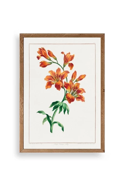 Turuncu Zambak Ahşap Çerçeveli Tablo 17 x 23 ürün görseli 1