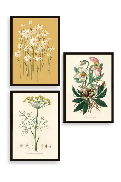 Çiçek Üçlü Ahşap Çerçeveli Tablo 50 x 70 ürün görseli 1