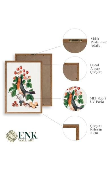 Daldaki Kuş Ahşap Çerçeveli Tablo 23 x 30 - Resim 4