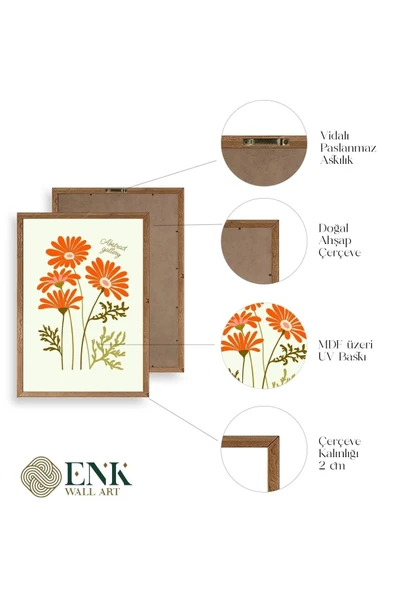 Botanik Üçlü Ahşap Çerçeveli Tablo 50 x 70 - Resim 4