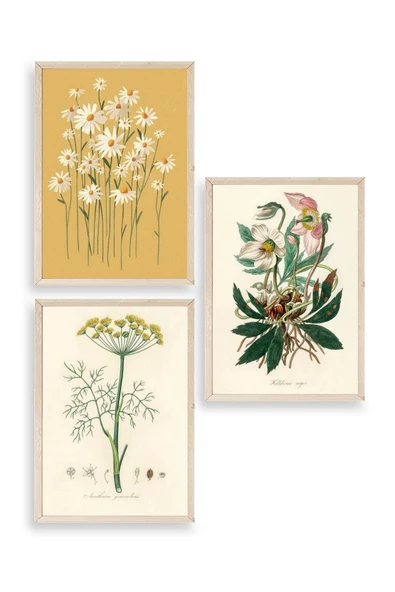 Çiçek Üçlü Ahşap Çerçeveli Tablo 23 x 30 ürün görseli 1