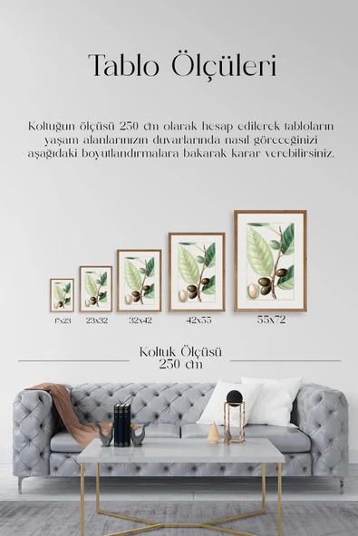 Zeytin Dalı Ahşap Çerçeveli Tablo 23 x 30 - Resim 5