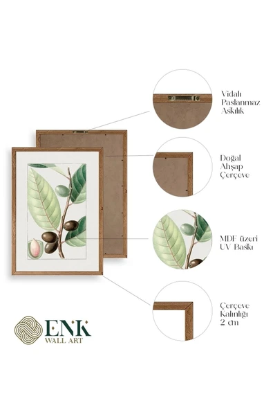 Zeytin Dalı Ahşap Çerçeveli Tablo 23 x 30 - Resim 4