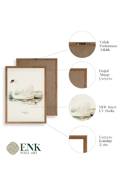 Kuğu Ahşap Çerçeveli Tablo 30 x 42 - Resim 5