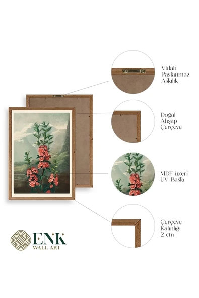 Narrow-Leaved Kalmia Ahşap Çerçeveli Tablo 50 x 70 - Resim 4