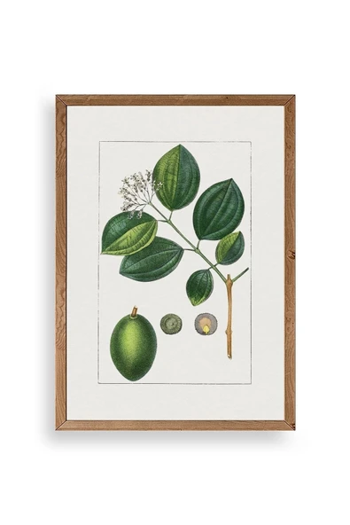 Rosalind Wheeler Ahşap Çerçeveli Tablo 17 x 23 ürün görseli 1