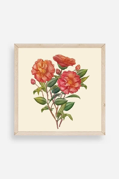 Çiçek Ahşap Çerçeveli Tablo 23 x 23 ürün görseli 1