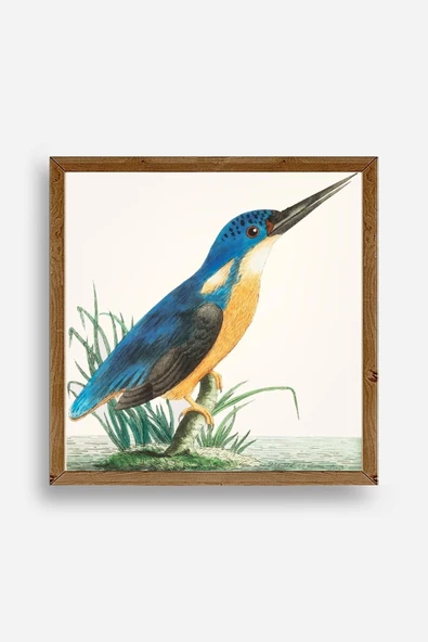 Kuş Ahşap Çerçeveli Tablo 50 x 50 ürün görseli 1