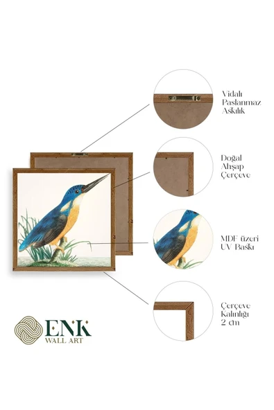 Kuş Ahşap Çerçeveli Tablo 50 x 50 - Resim 4