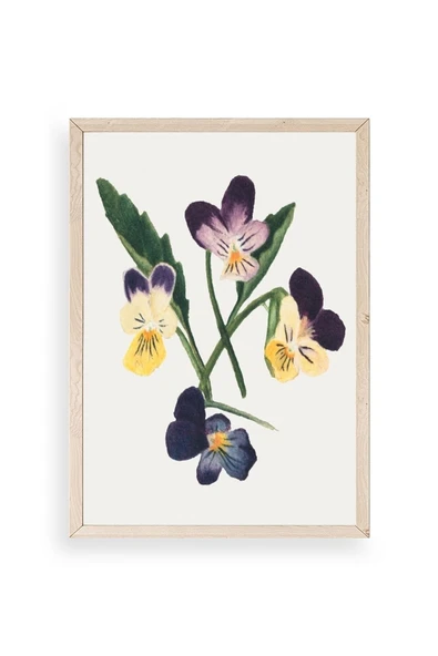 Çiçekler Ahşap Çerçeveli Tablo 30 x 42 ürün görseli 1