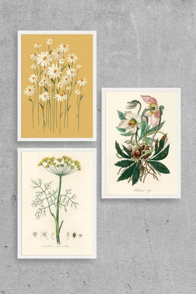 Çiçek Üçlü Ahşap Çerçeveli Tablo 50 x 70 ürün görseli 1