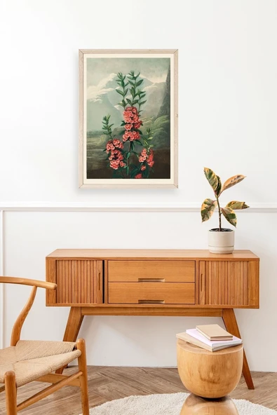 Narrow-Leaved Kalmia Ahşap Çerçeveli Tablo 50 x 70 - Resim 3