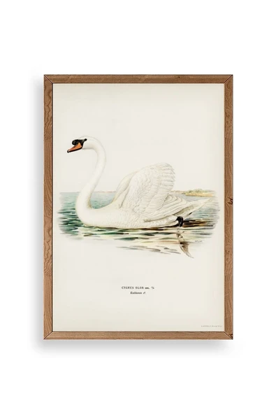 Kuğu Ahşap Çerçeveli Tablo 50 x 70 ürün görseli 1