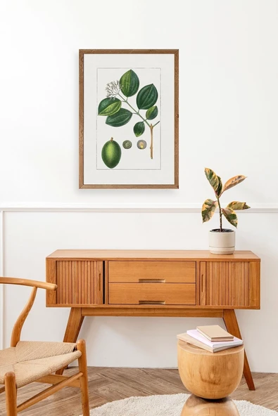 Rosalind Wheeler Ahşap Çerçeveli Tablo 17 x 23 - Resim 3