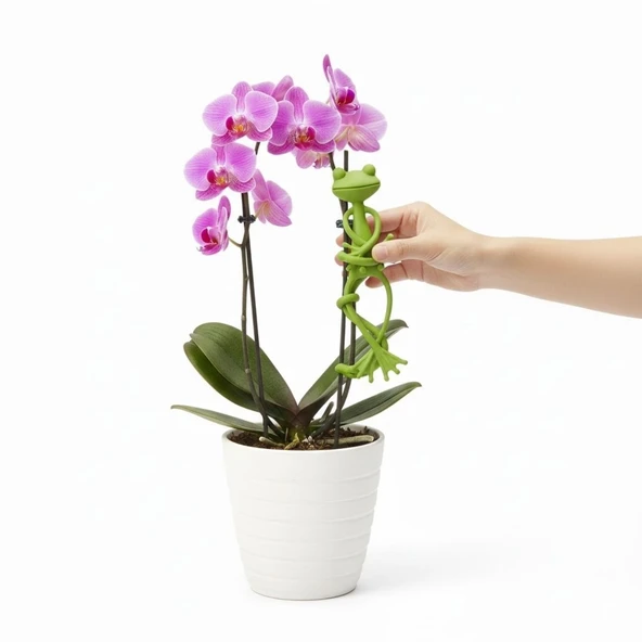 BUFFER® Kurbağa Şeklinde Bitki Sabitleyici - Bahçe ve İç Mekan Bitkileri İçin Dal ve Gövde Destek Aparatı, Çok Amaçlı Bitki Tutucu Klips - Resim 2