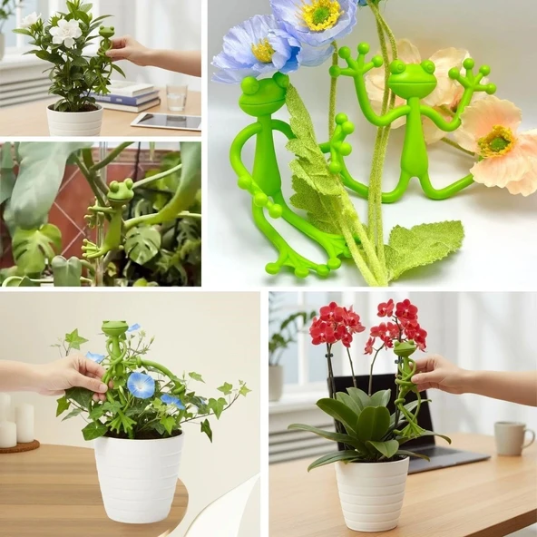 BUFFER® Kurbağa Şeklinde Bitki Sabitleyici – Bahçe ve İç Mekan Bitkileri İçin Dal ve Gövde Destek Aparatı, Çok Amaçlı Bi - Resim 4