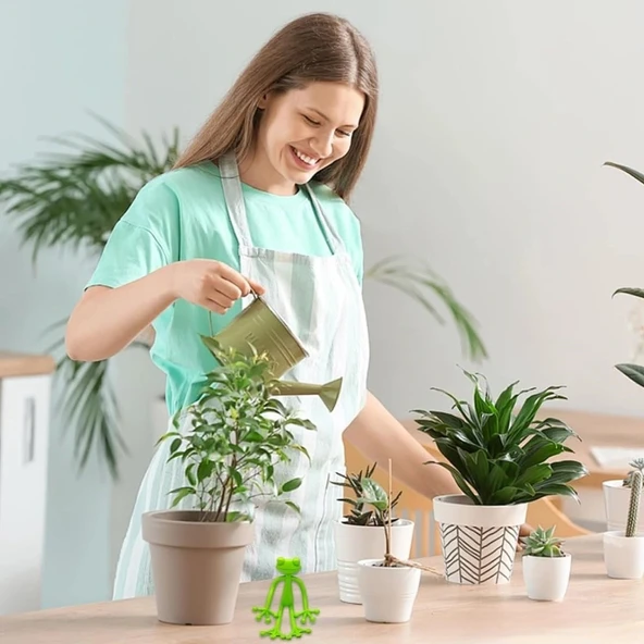 BUFFER® Kurbağa Şeklinde Bitki Sabitleyici – Bahçe ve İç Mekan Bitkileri İçin Dal ve Gövde Destek Aparatı, Çok Amaçlı Bi - Resim 3